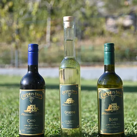 Carpenter Wineyard 빌라 *