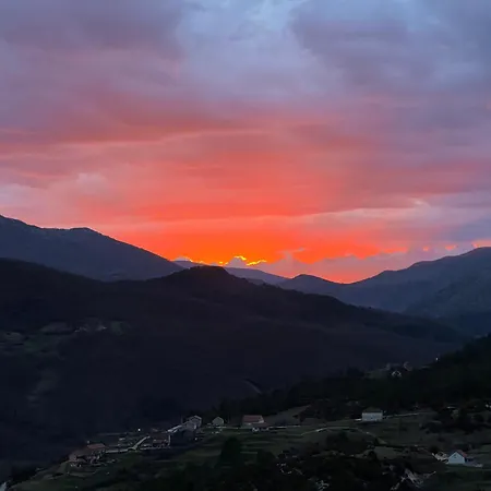 Carpenter Wineyard *