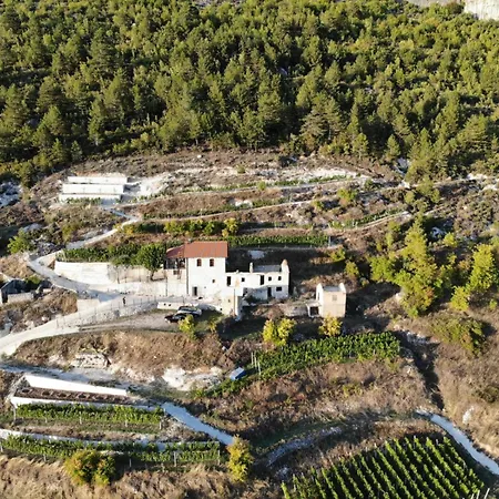 Carpenter Wineyard *