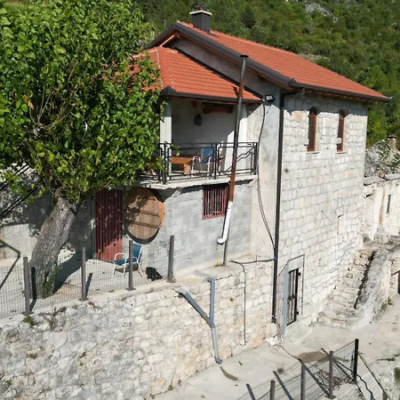 Carpenter Wineyard *