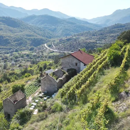 빌라 Carpenter Wineyard *