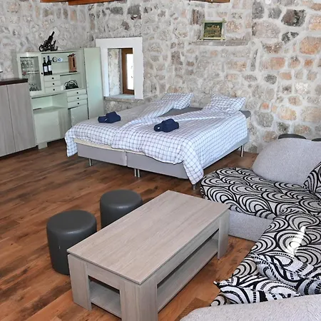 Carpenter Wineyard *